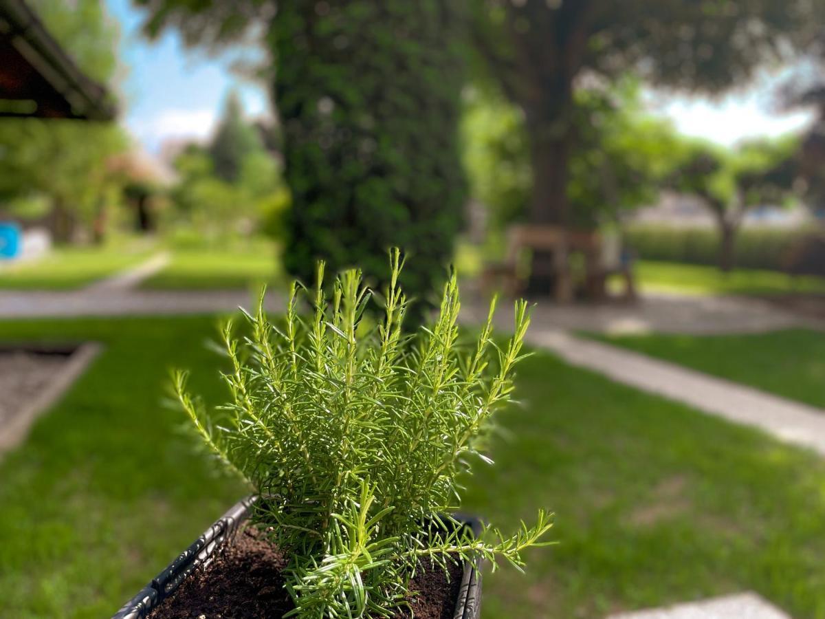 Green Oasis Garden Šenčur Екстериор снимка