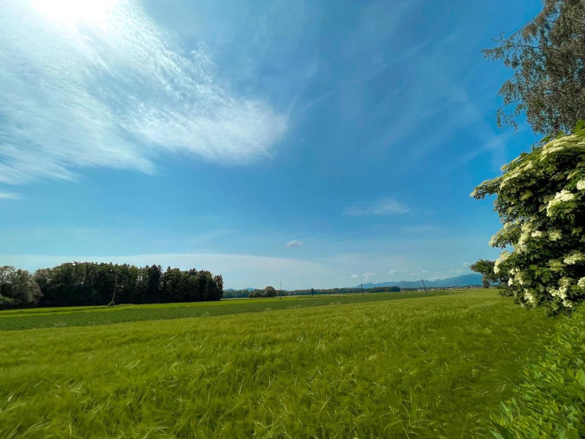 Green Oasis Garden Šenčur Екстериор снимка