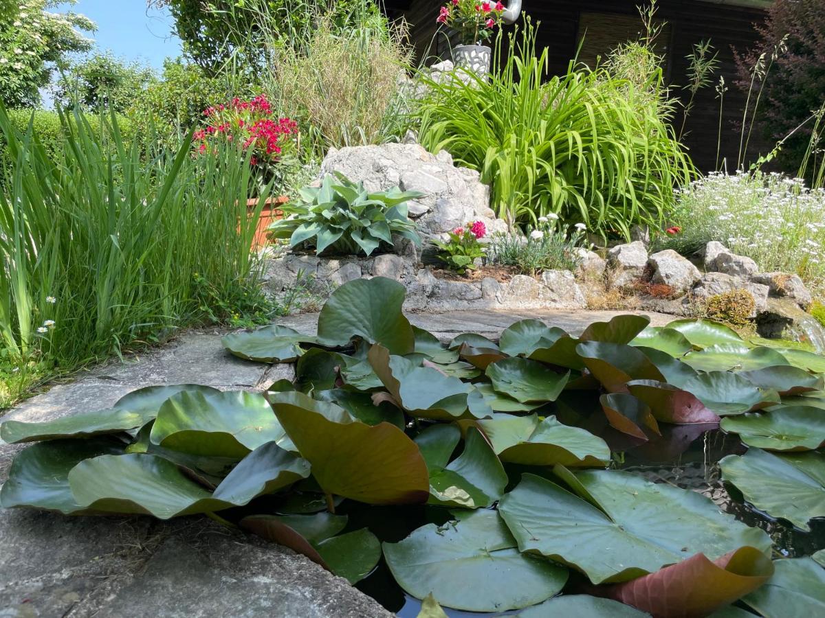Green Oasis Garden Šenčur Екстериор снимка