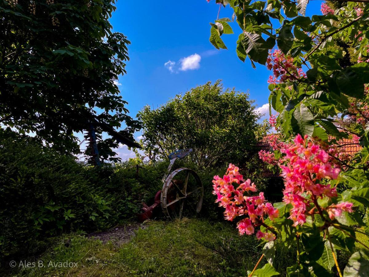 Green Oasis Garden Šenčur Екстериор снимка