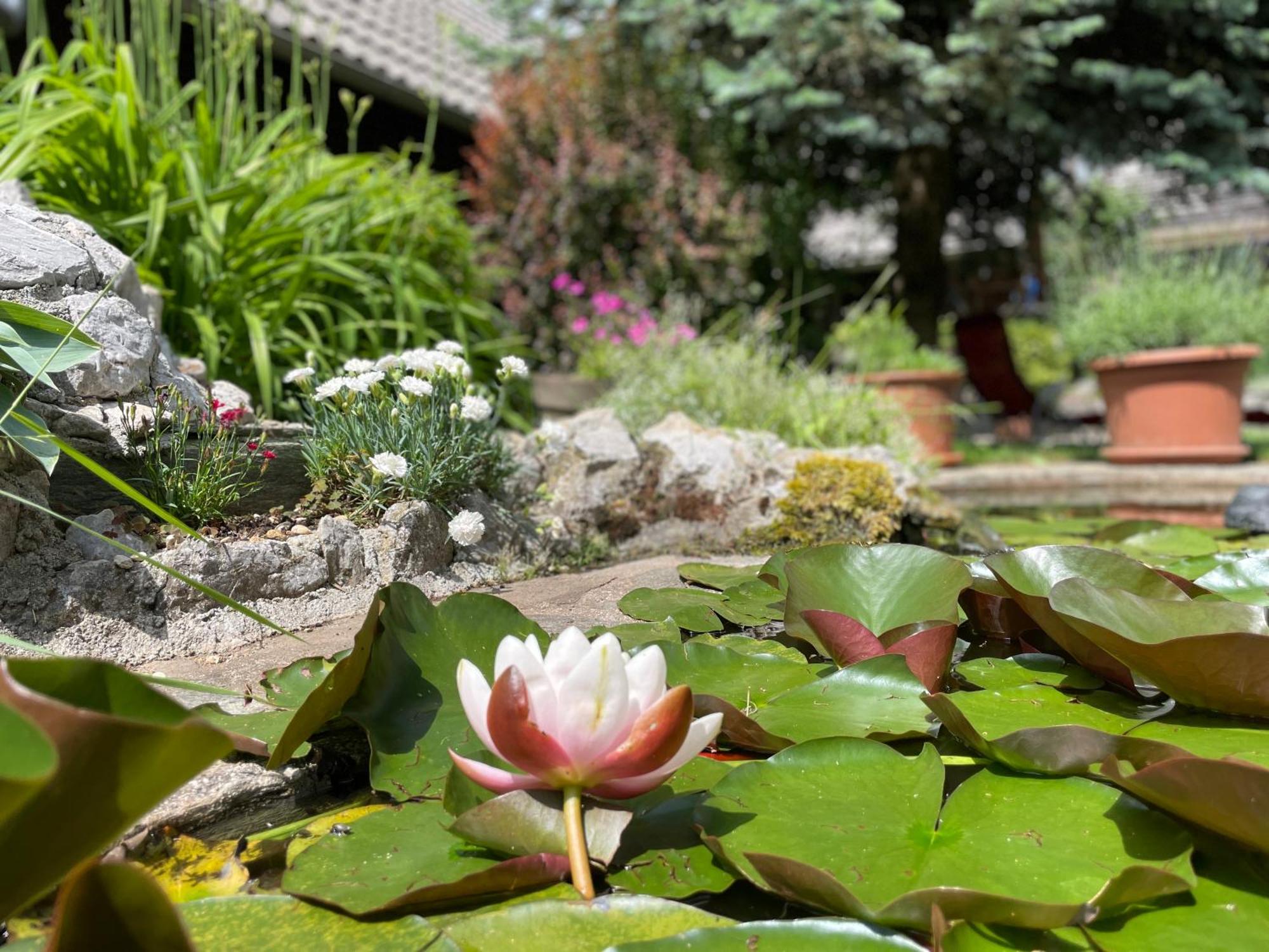 Green Oasis Garden Šenčur Екстериор снимка