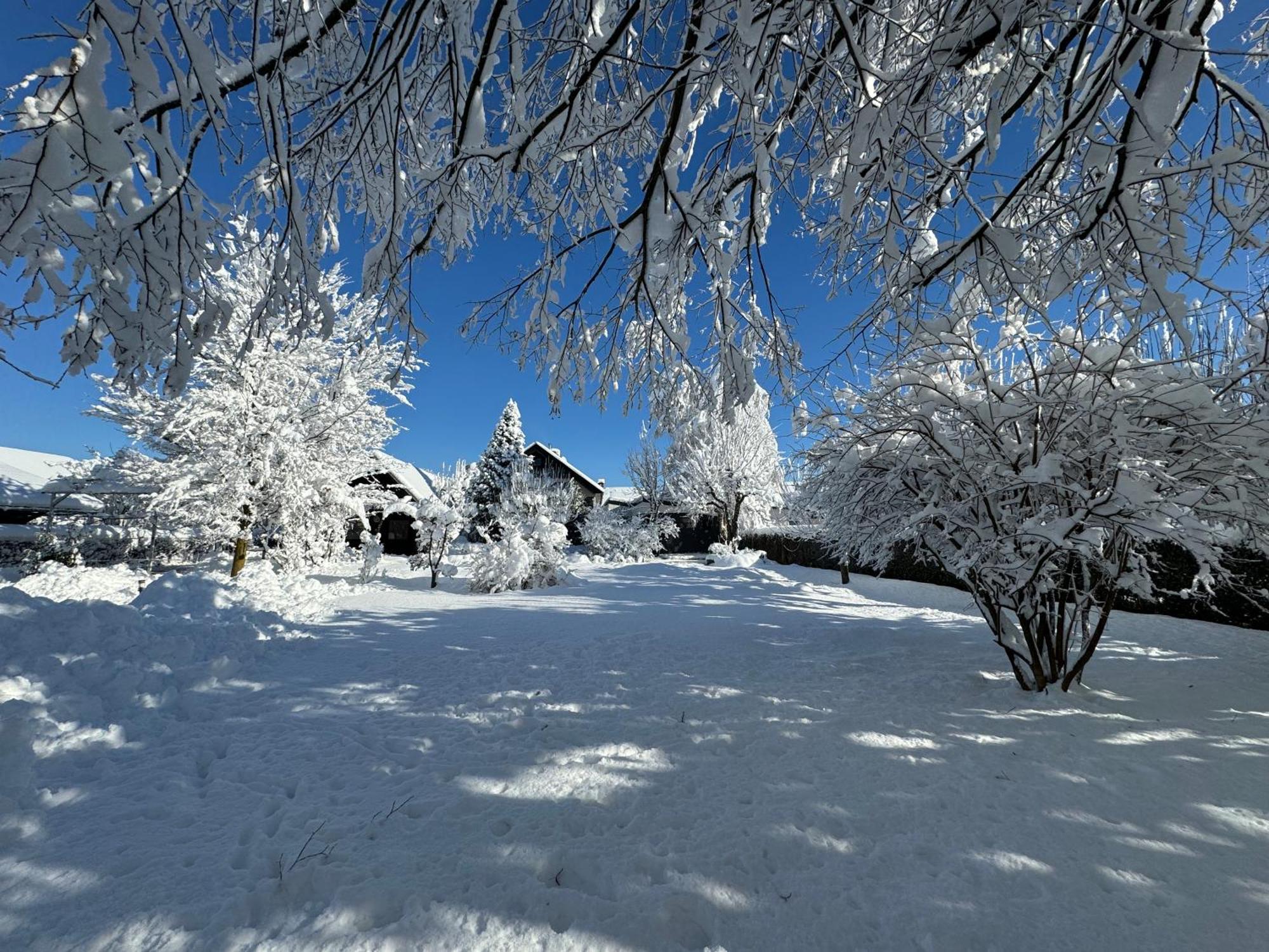 Green Oasis Garden Šenčur Екстериор снимка