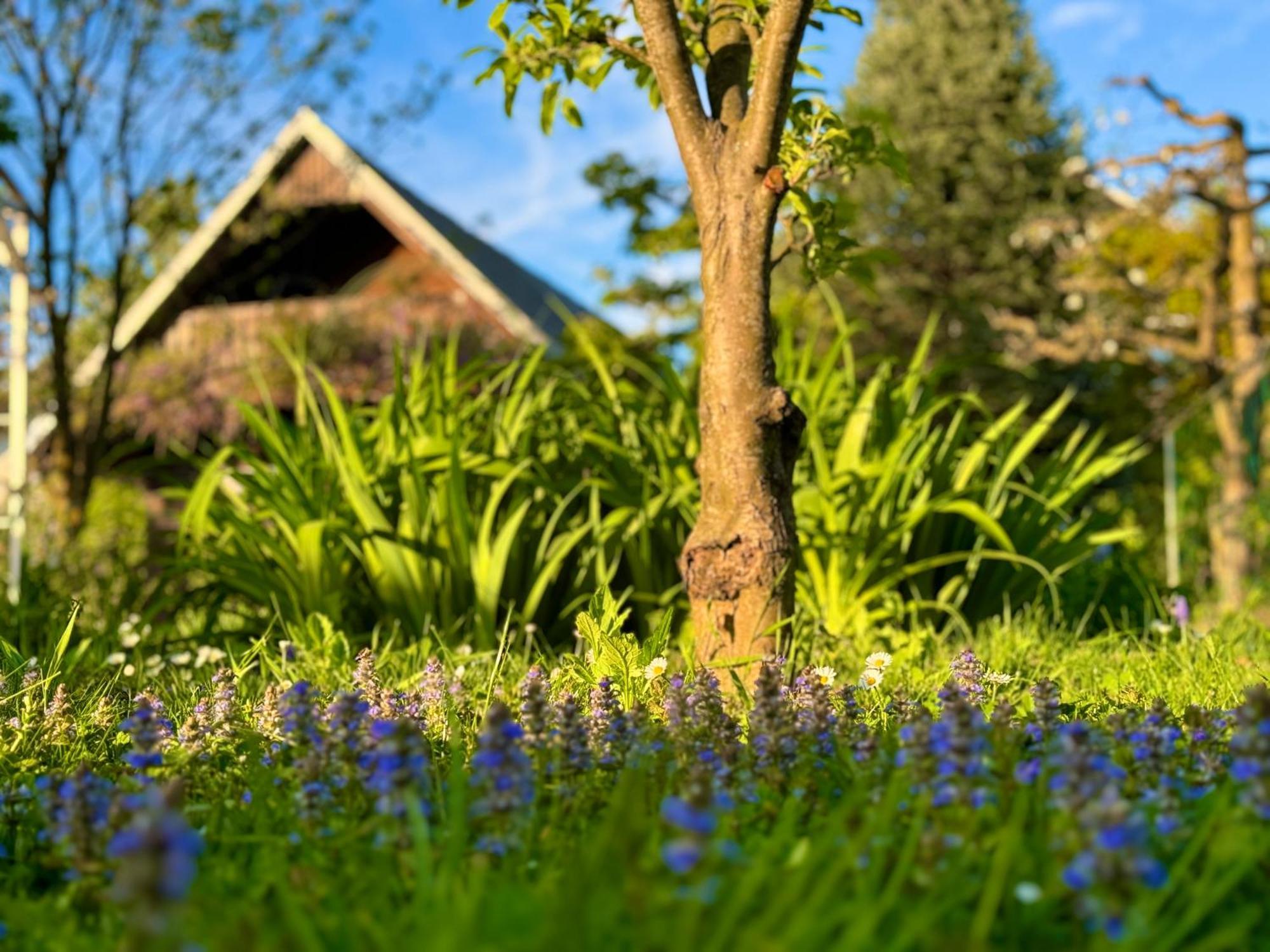 Green Oasis Garden Šenčur Екстериор снимка