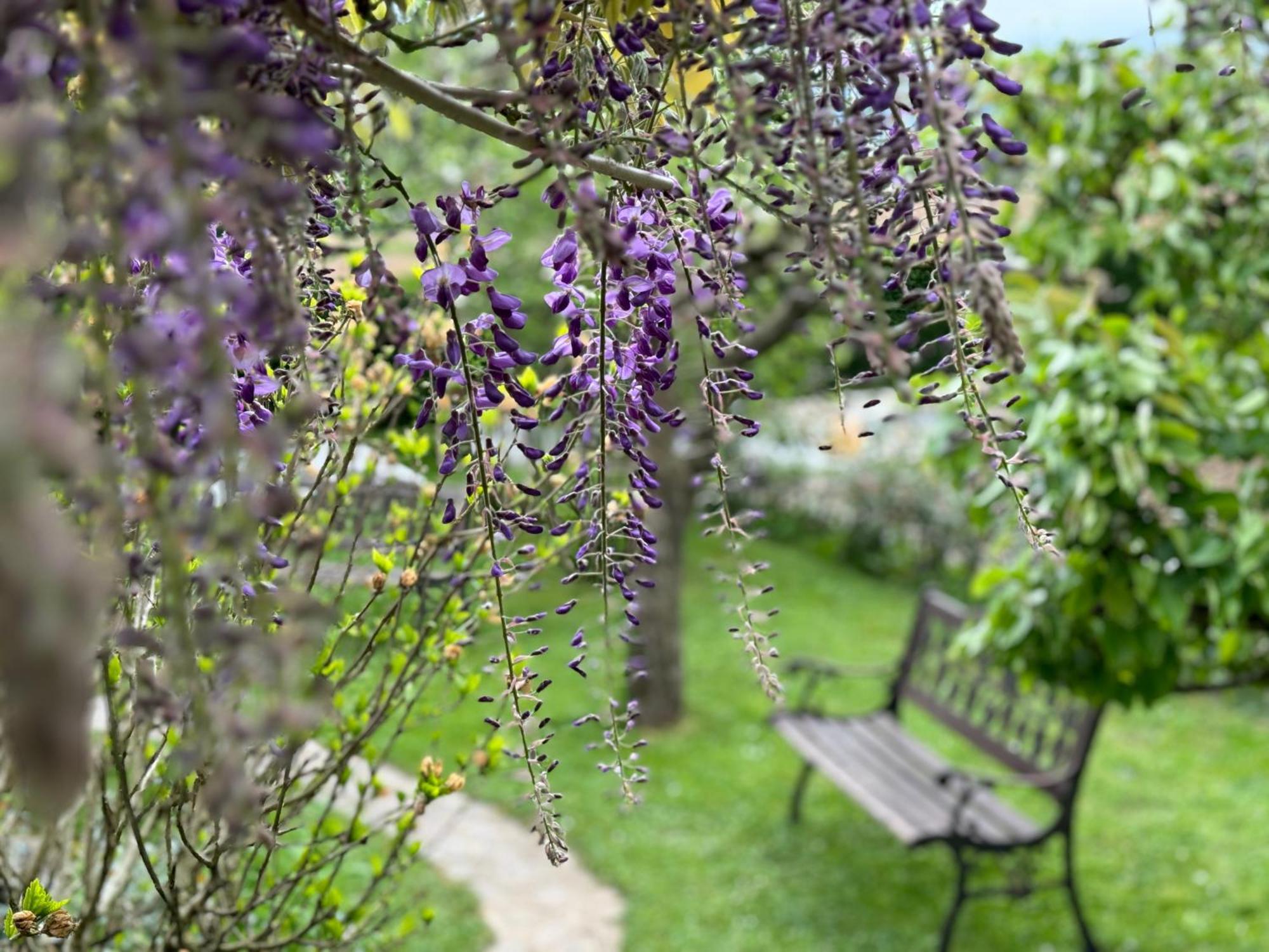 Green Oasis Garden Šenčur Екстериор снимка